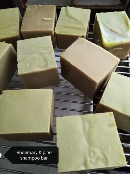 Rosemary & Pine Shampoo & Body Bar