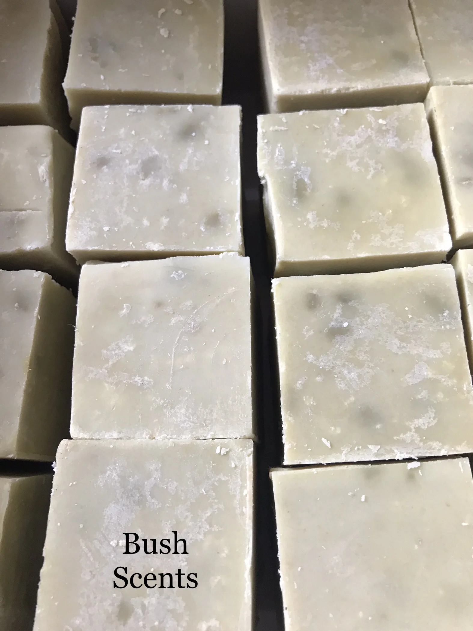 Bush Scents Soap